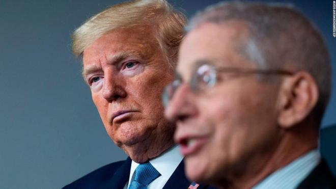 trump and fauci
