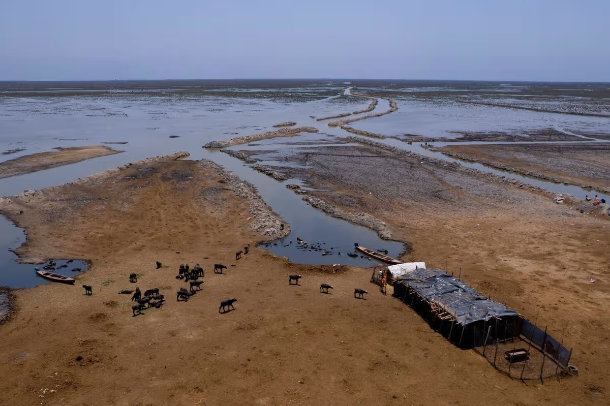 Iraq Rivers Drying Up Euphrates River is drying up, just as Bible predicted would happen ...